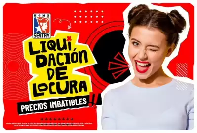 Catálogo Home Sentry Página 1