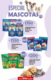 Folleto Supermercados DIA semana 8 Página 11