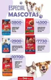 Folleto Supermercados DIA semana 8 Página 12