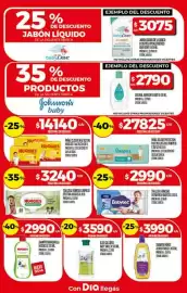 Folleto Supermercados DIA semana 8 Página 24