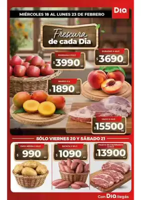 Folleto Supermercados DIA (válido hasta 23-02)