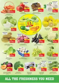 Nesto catalogue Page 2