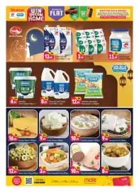 Shaklan leaflet Page 11