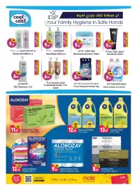 Shaklan leaflet Page 12