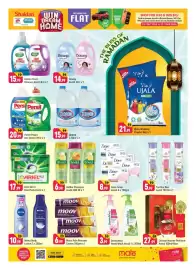 Shaklan leaflet Page 13