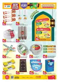 Shaklan leaflet Page 14