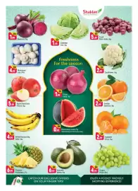 Shaklan leaflet Page 2