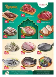 Shaklan leaflet Page 3