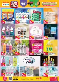 Shaklan leaflet Page 10