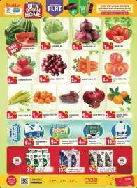 Shaklan leaflet Page 3