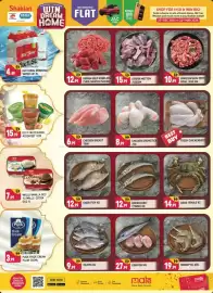 Shaklan leaflet Page 4