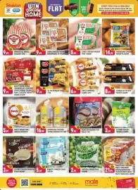 Shaklan leaflet Page 6