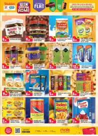 Shaklan leaflet Page 8