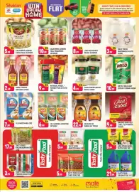 Shaklan leaflet Page 9