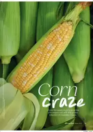 Woolworths catalogue Page 25