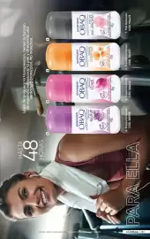 Catálogo Azzorti Página 192