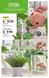 Catálogo Azzorti Página 215