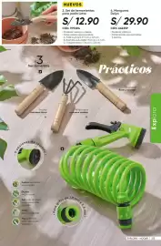 Catálogo Azzorti Página 216