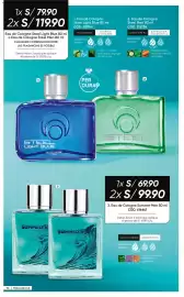 Catálogo Azzorti Página 99