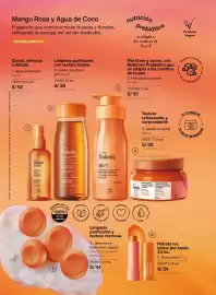 Catálogo Natura Página 102