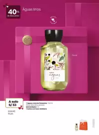 Catálogo Natura Página 12