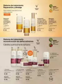 Catálogo Natura Página 127