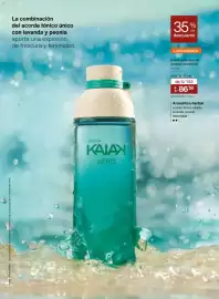 Catálogo Natura Página 40