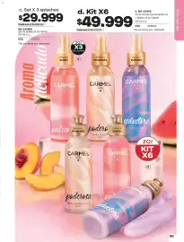 Catálogo Carmel Página 183