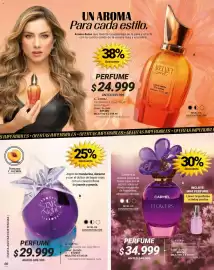 Catálogo Carmel Página 256