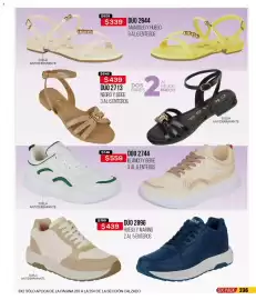 Catálogo Cklass Página 237