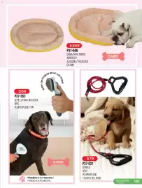 Catálogo Cklass Página 121