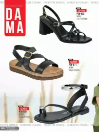 Catálogo Cklass Página 136