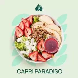 Catálogo Super Salads Página 5