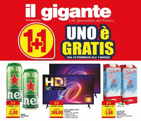 Volantino Il Gigante (valido fino al 1-03)