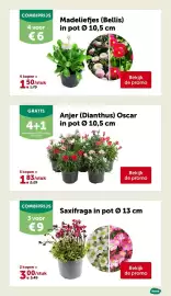 AVEVE folder Pagina 11