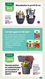 AVEVE folder Pagina 14