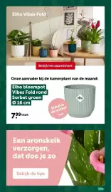 AVEVE folder Pagina 19