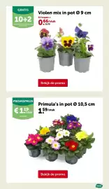 AVEVE folder Pagina 2