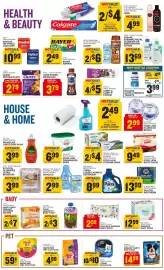 Food Lion weekly ad week 8 Page 8