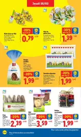 Catalogue Lidl semaine 9 page 22