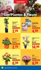 Catalogue Lidl semaine 9 page 28