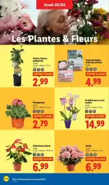 Catalogue Lidl semaine 9 page 28