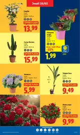 Catalogue Lidl semaine 9 page 29