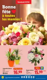 Catalogue Lidl semaine 9 page 30