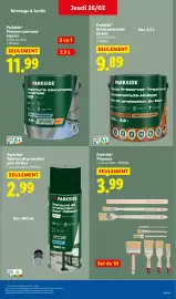 Catalogue Lidl semaine 9 page 33