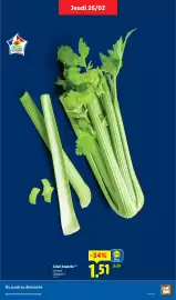 Catalogue Lidl semaine 9 page 5