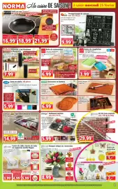 Catalogue Norma semaine 9 page 3