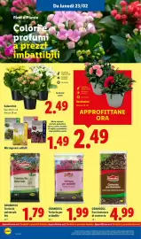 Volantino Lidl settimana 9 Pagina 36