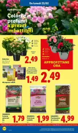 Volantino Lidl settimana 9 Pagina 36