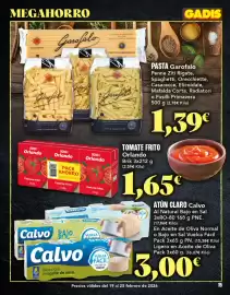 Folleto Gadis semana 8 Página 15